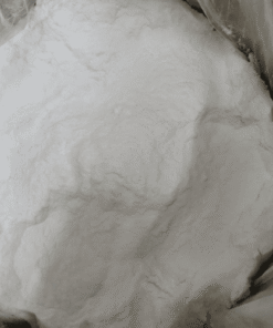 Penicillin G Sodium
